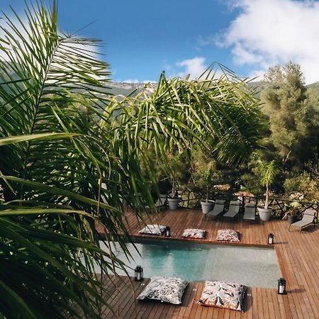 Villa Holistika : Bed And Breakfast / Pool / Air Conditioning/ Mont Faron Toulon Exteriör bild